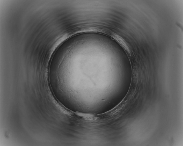 X0000090980805200708241402