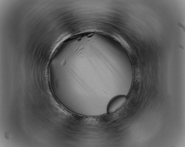 X0000090980806200708241402
