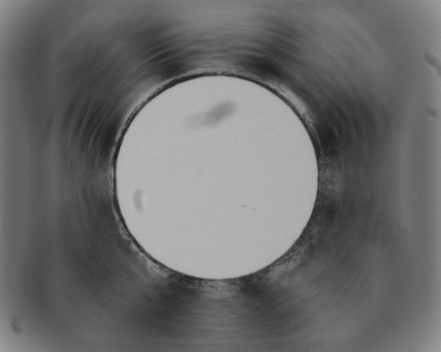 X0000090980807200708241402