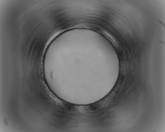 X0000090980808200708241402