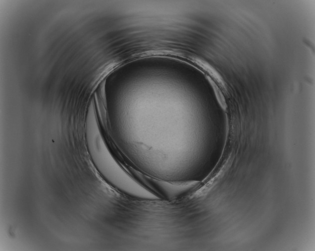 X0000090980809200708241402