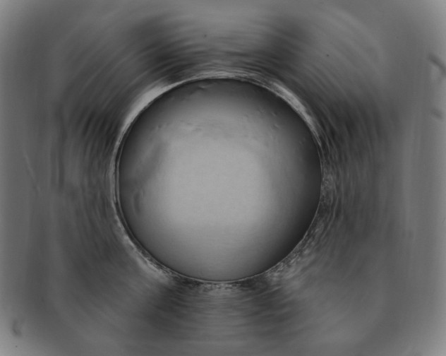 X0000090980811200708241402