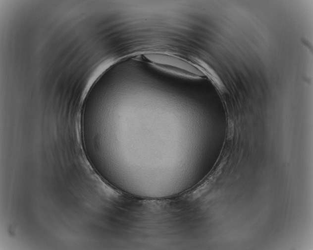 X0000090980812200708241402