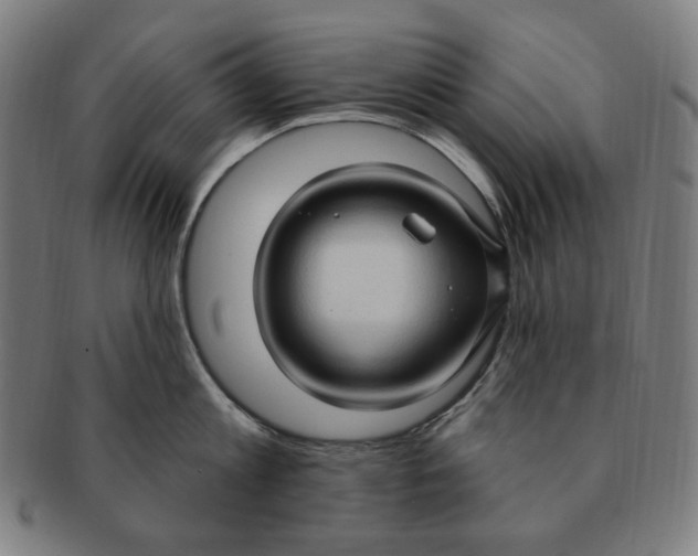 X0000090980813200708241402