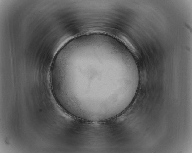 X0000090980814200708241402