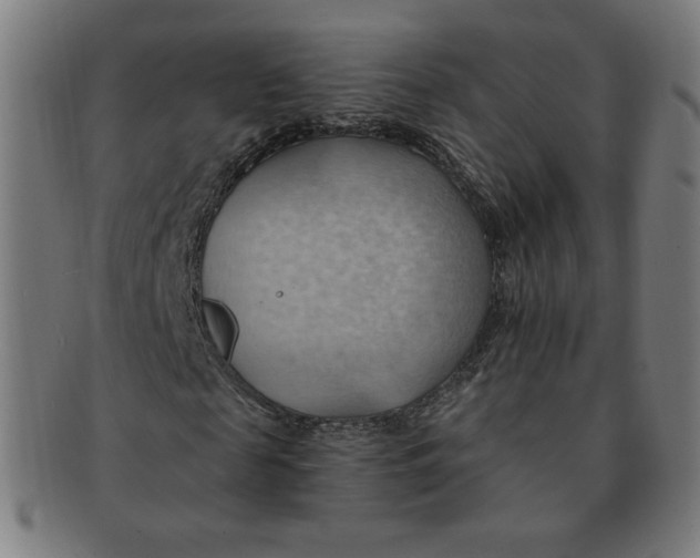 X0000090980817200708241401