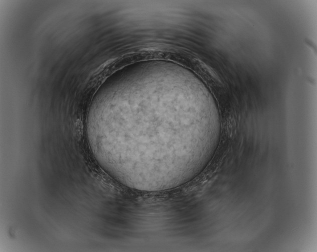 X0000090980821200708241401