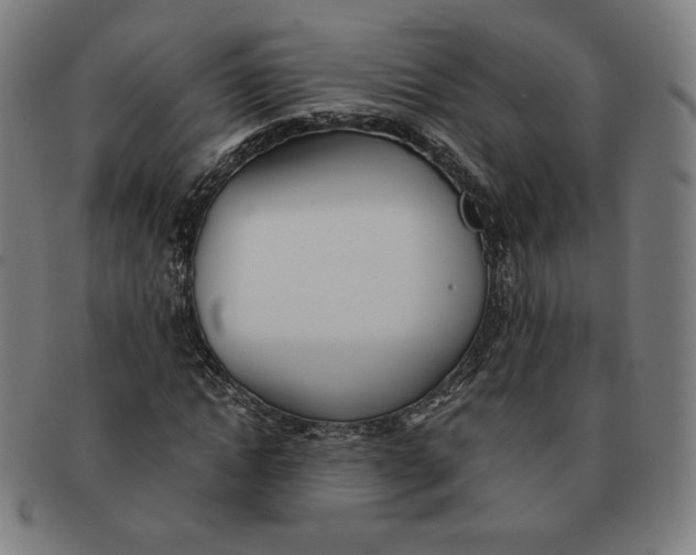 X0000090980822200708241401
