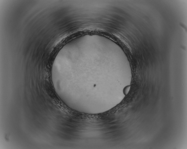 X0000090980823200708241401