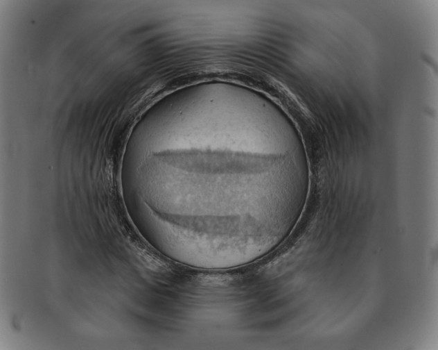 X0000090980825200708241401