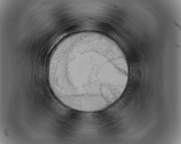 X0000090980828200708241401