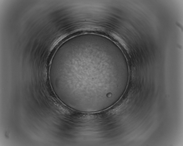 X0000090980829200708241401