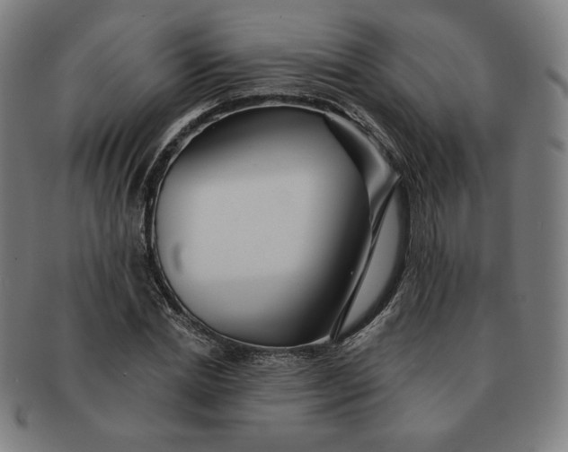 X0000090980830200708241401