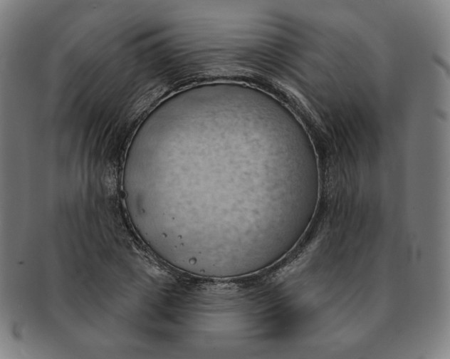 X0000090980833200708241401
