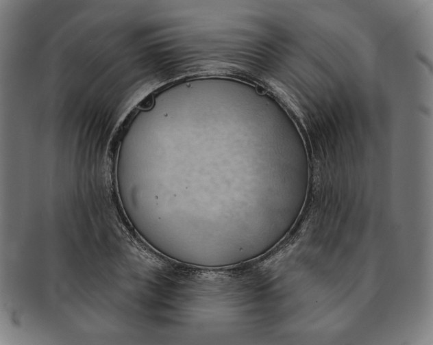 X0000090980835200708241401