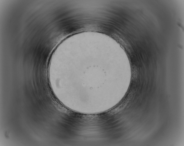 X0000090980836200708241401
