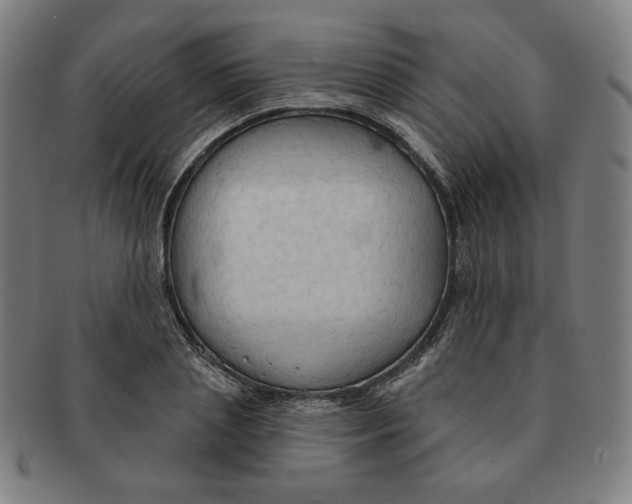 X0000090980837200708241401