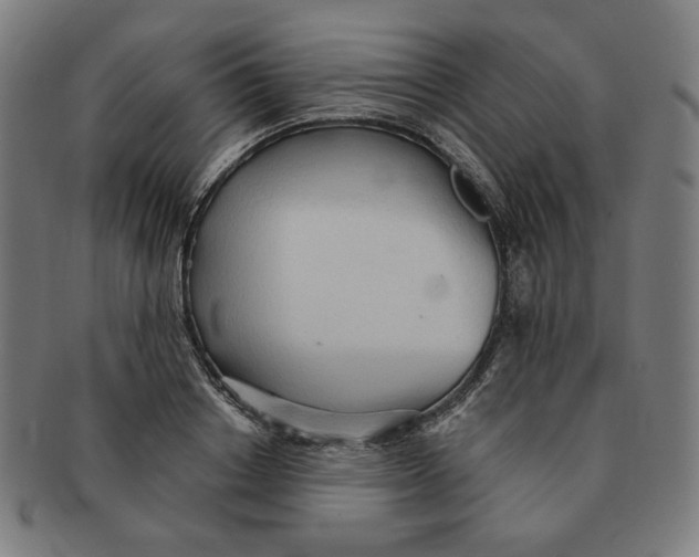 X0000090980842200708241401