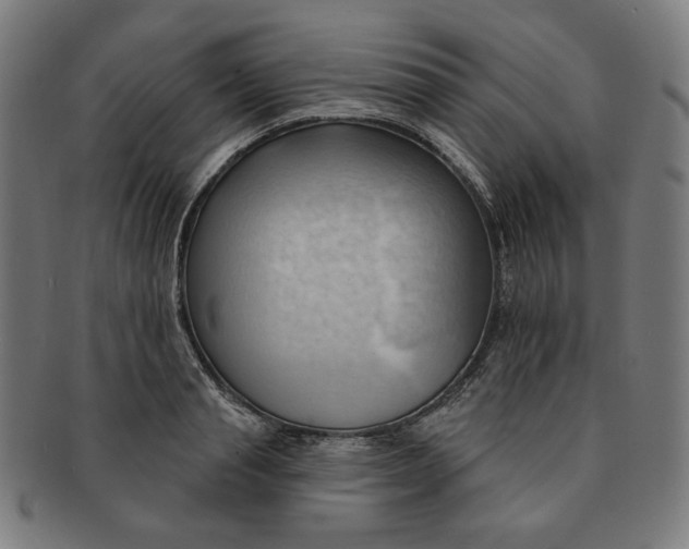 X0000090980845200708241401