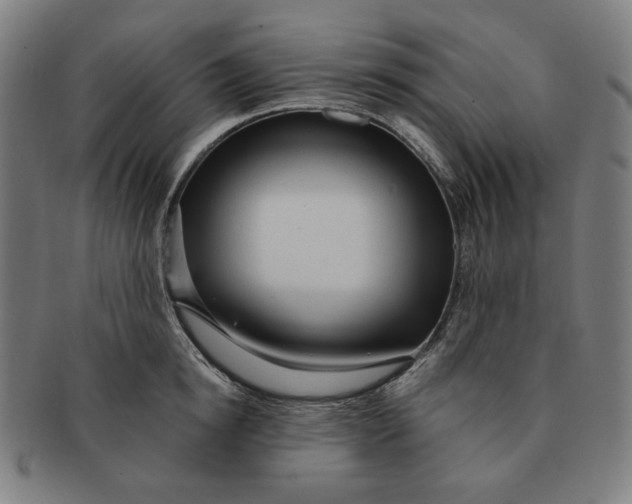 X0000090980854200708241401