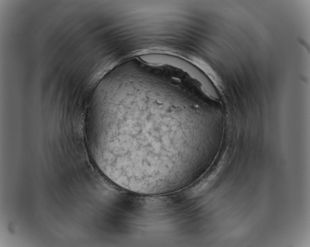 X0000090980857200708241401