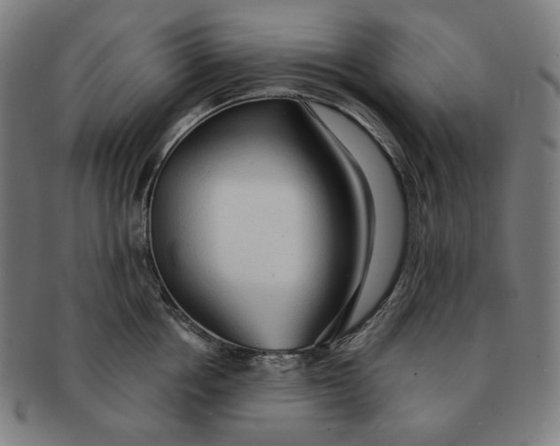 X0000090980858200708241401