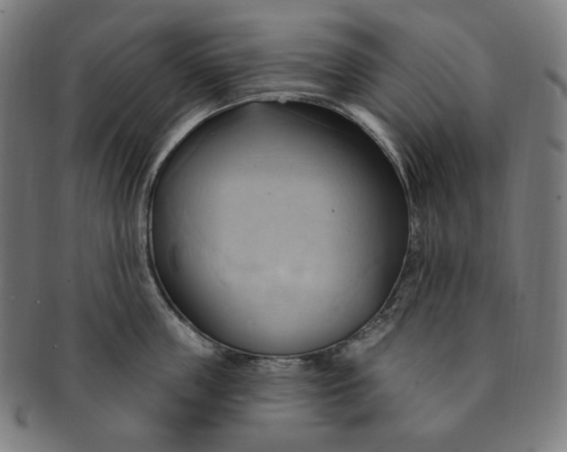 X0000090980859200708241402