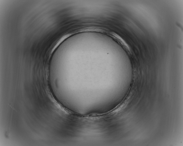 X0000090980860200708241402