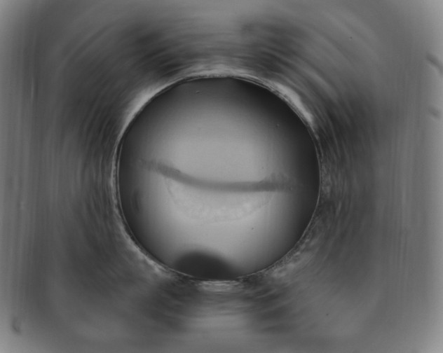 X0000090980863200708241402