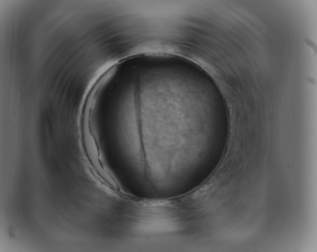 X0000090980864200708241402