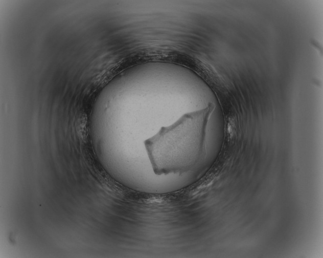 X0000090980867200708241401