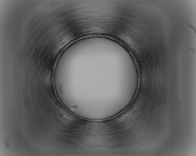 X0000090980873200708241401
