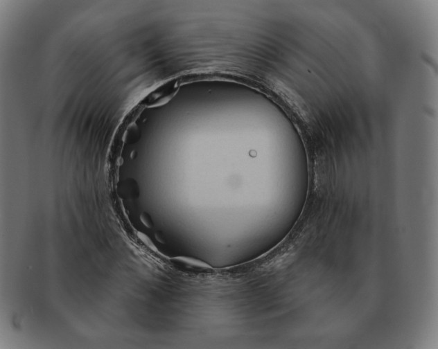 X0000090980876200708241401