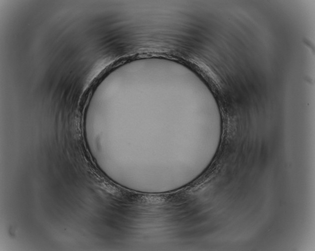 X0000090980878200708241401