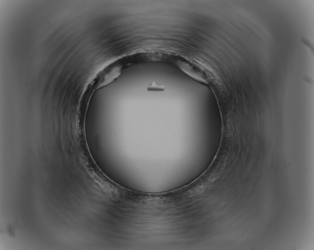 X0000090980880200708241401