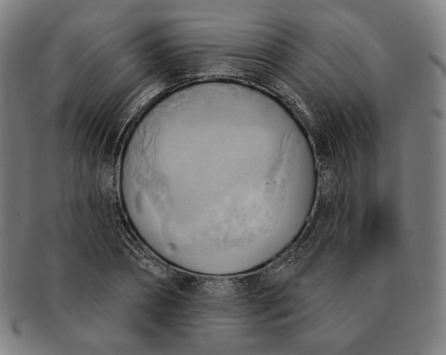 X0000090980882200708241401
