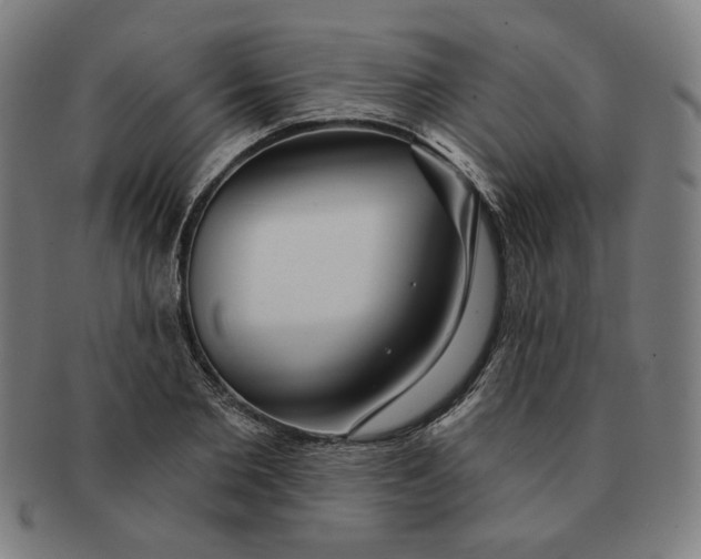 X0000090980885200708241400