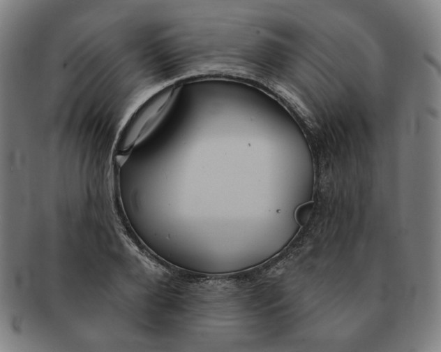 X0000090980888200708241400