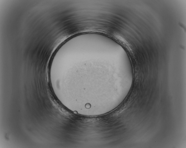 X0000090980892200708241400