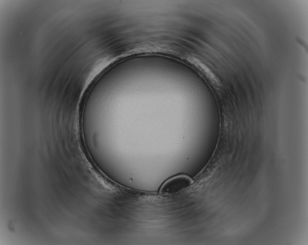 X0000090980894200708241400