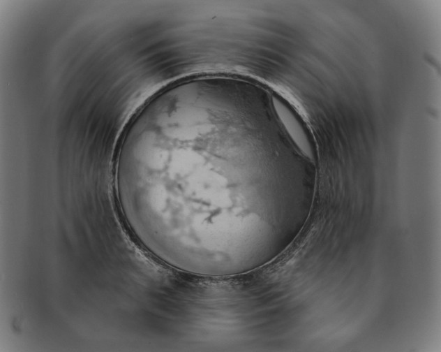 X0000090980895200708241400