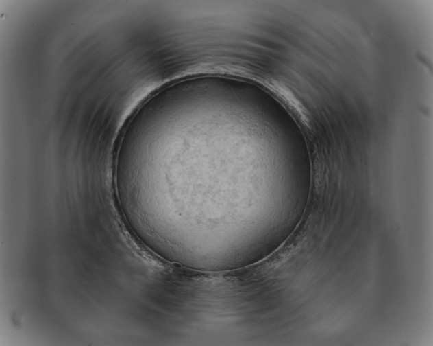 X0000090980896200708241400
