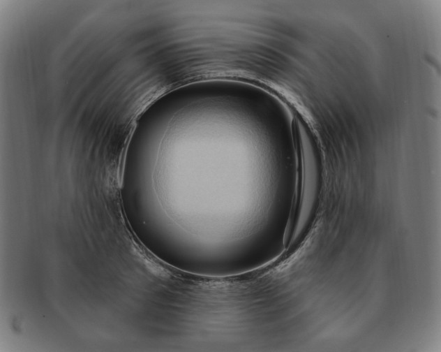 X0000090980897200708241400
