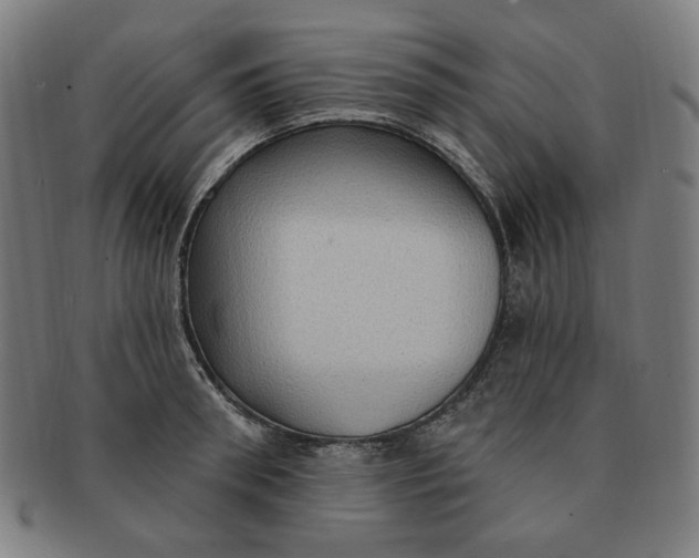X0000090980898200708241400