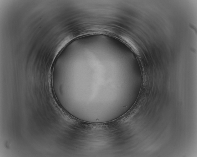 X0000090980899200708241400