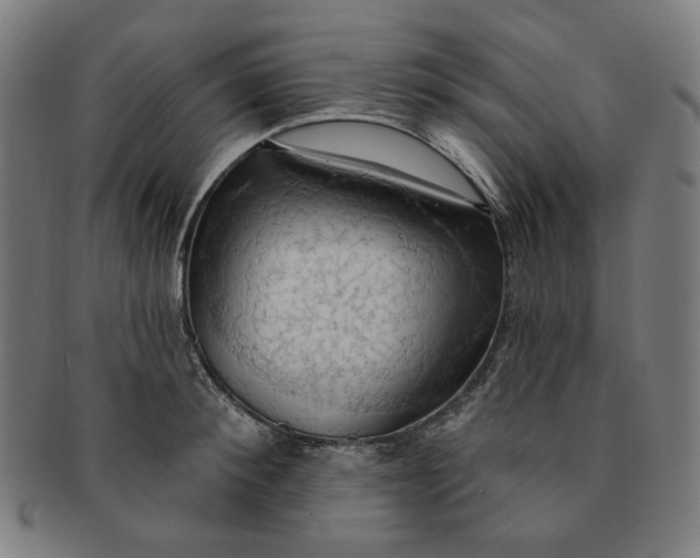X0000090980900200708241400