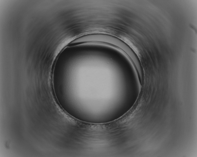 X0000090980901200708241400