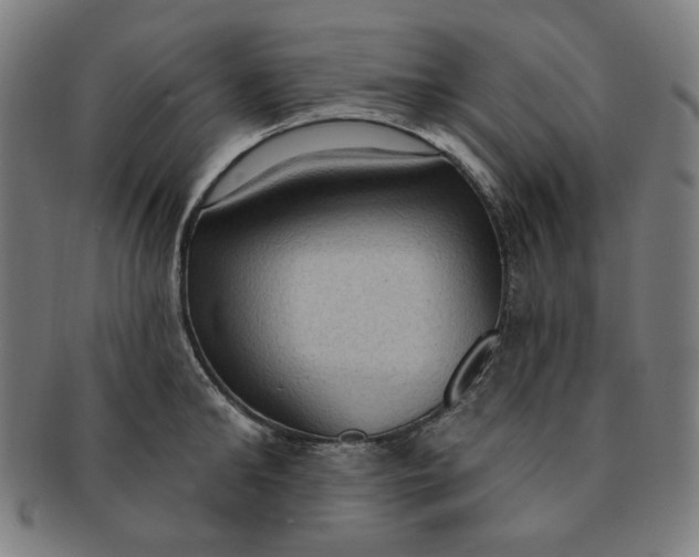 X0000090980902200708241400