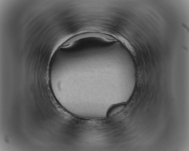 X0000090980904200708241400