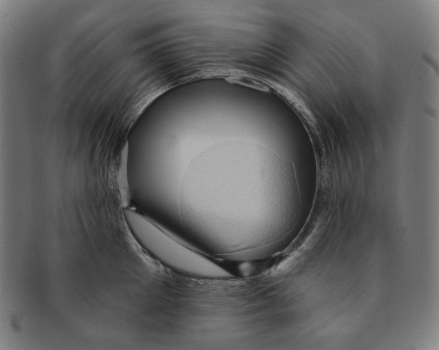X0000090980905200708241400